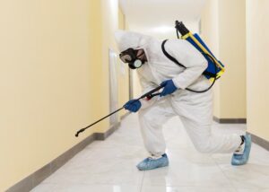 pest control in tucson