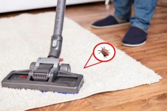 Effective Pest Control Prescott