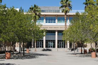 weather and pests in surprise